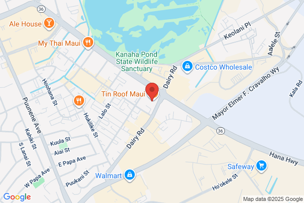 Hawaiiana Painting Shop