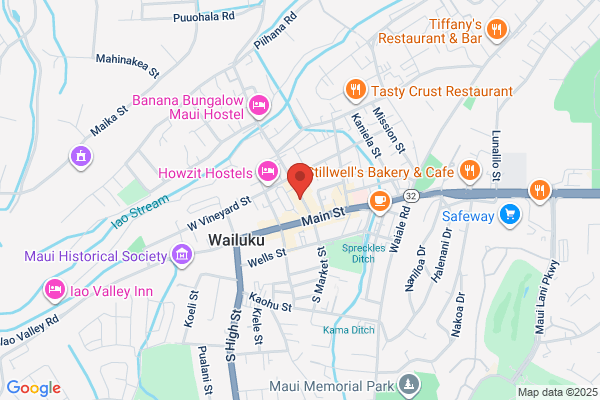 Hair Vision