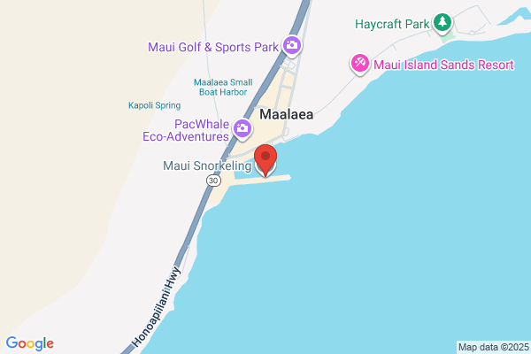Maui Snorkeling