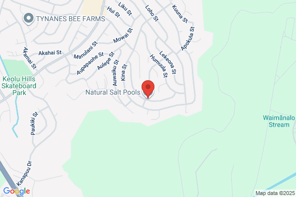 Natural Salt Pools LLC
