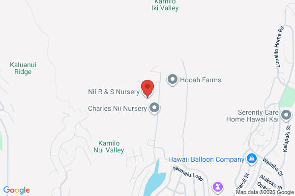 Nii R & S Nursery Inc