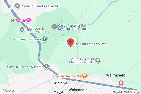 TAHITIAN TREE SERVICE INC