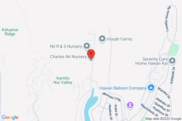 Nii Charles Nursery Inc
