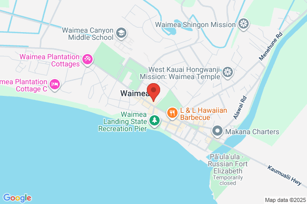 Waimea Town Celebration