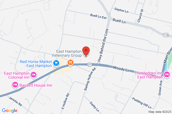 East Hampton Veterinary Group