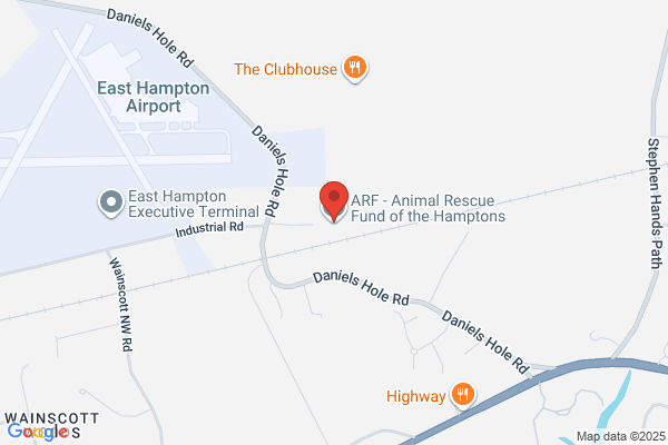 Animal Rescue Fund of the Hamptons Inc-Arf