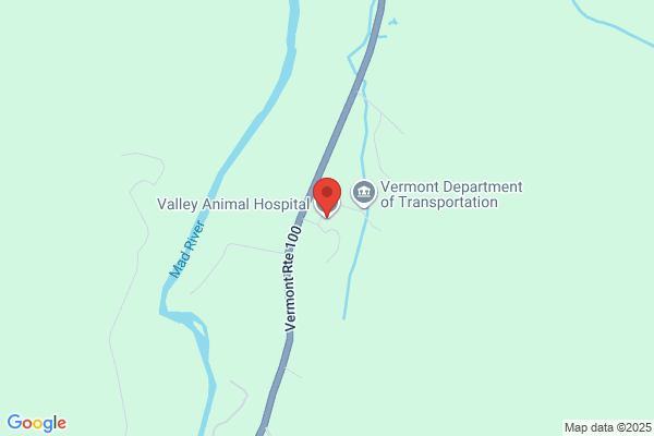 Valley Animal Hospital