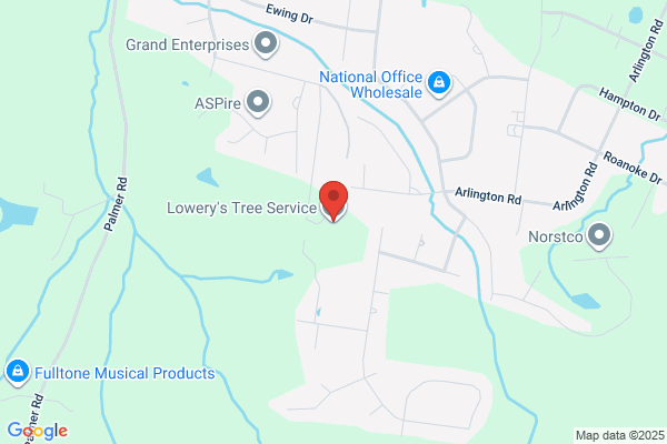 Tommy Lowery Tree Service