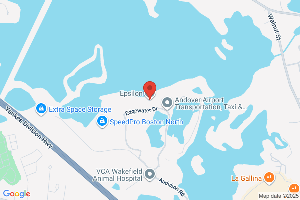 Epsilon Data Management Inc