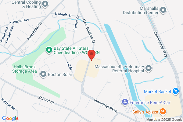 Boston Industrial Solutions, Inc.