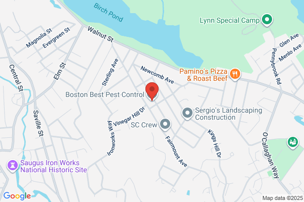 Boston Best Pest Control