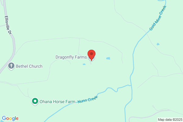 Flying Dragon Farm