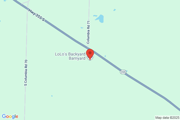 LoLo's Backyard Barnyard