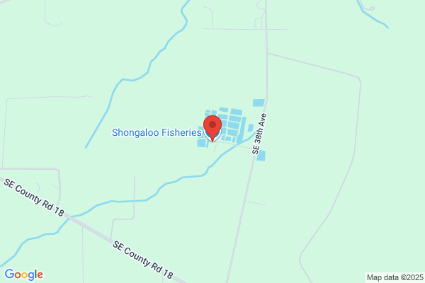 Shongaloo Fisheries