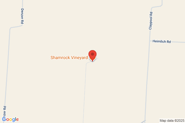 Shamrock Vineyard