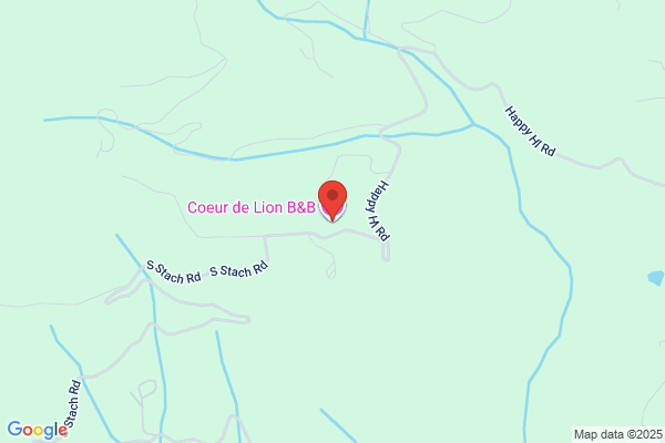 Roaring Lion the Bed & Breakfast