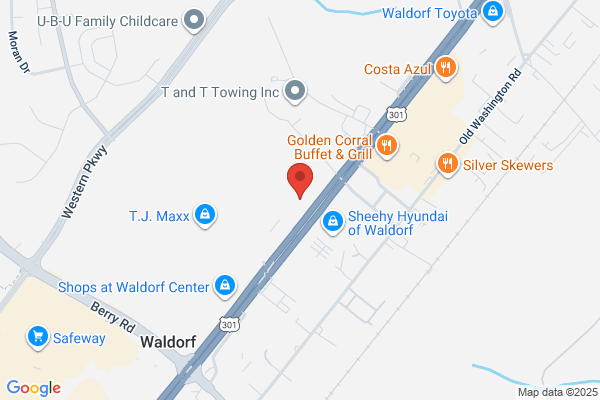 Fred's Oak Forest Furniture