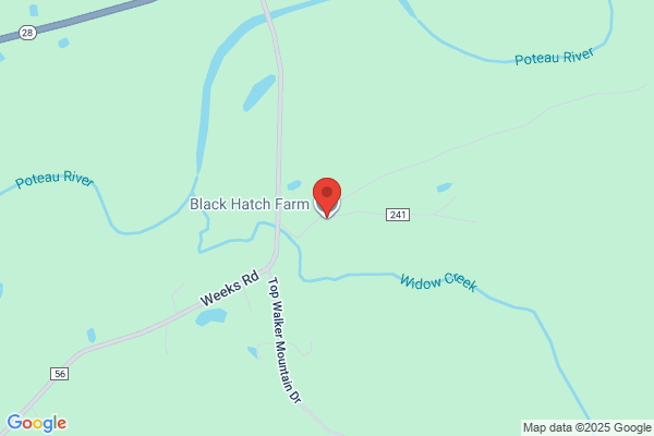Black Hatch Farm