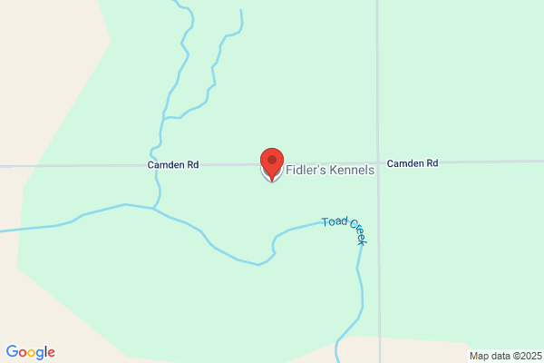 Fidler's Kennels
