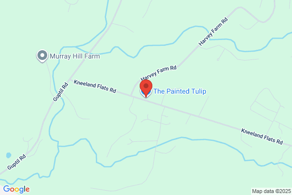 The Painted Tulip