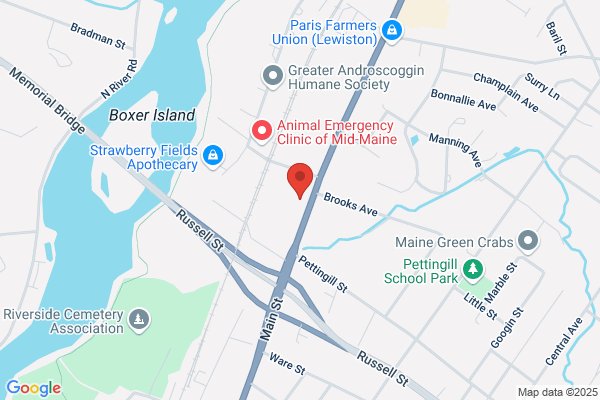 Comeau & Sons Inc