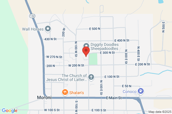 FamilySearch center