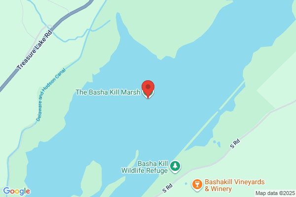 Bashakill Realty