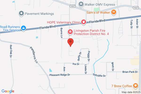 Palmetto Mobile Home Park