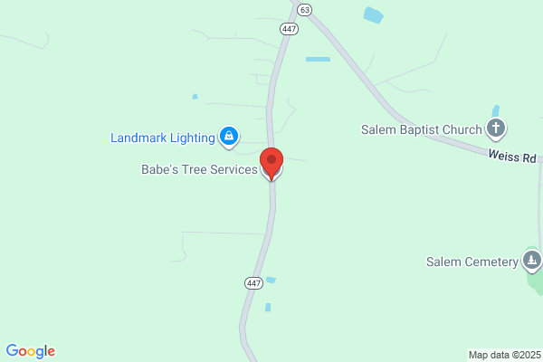 B D Herring Complete Tree Care