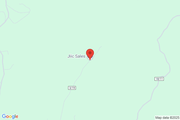 Jiic Sales