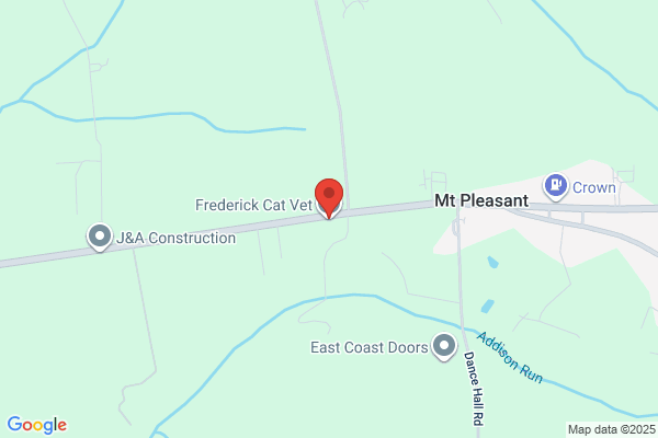 Frederick Cat Veterinarian
