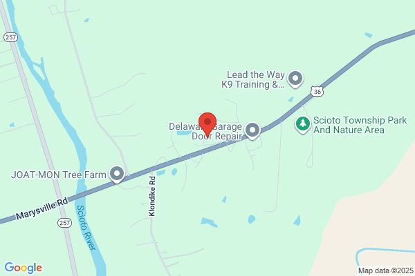 Shady Hollow Ferretry