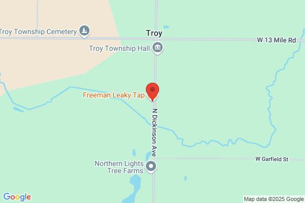 J Ts Freeman Inn Inc