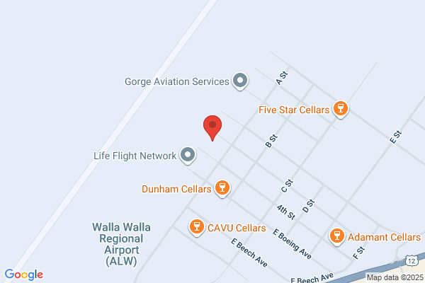 Blue Mountain Aviation & Dusting Corporation