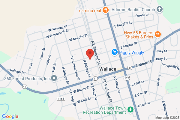 Wallace Senior Village
