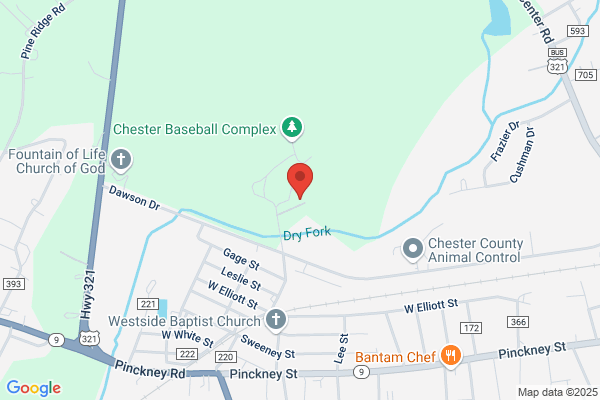 Chesterfield County Board of Disabilities