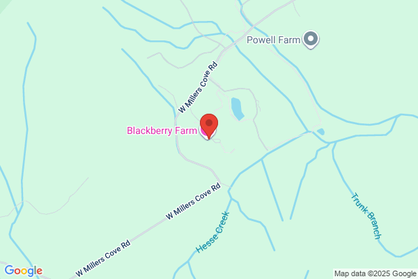 Inn At Blackberry Farm
