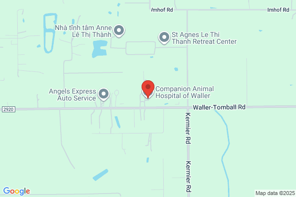 Companion Animal Hospital of Waller