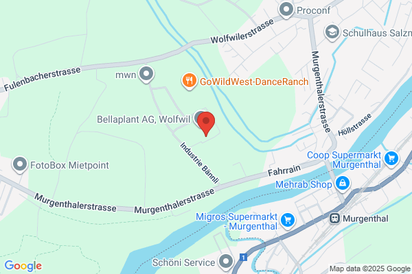 Sonic Drive-In