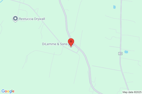 Di Lemme & Sons Inc