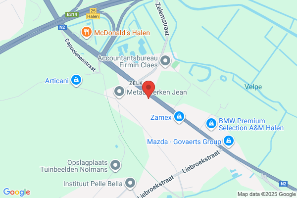 Tommy's Walloon