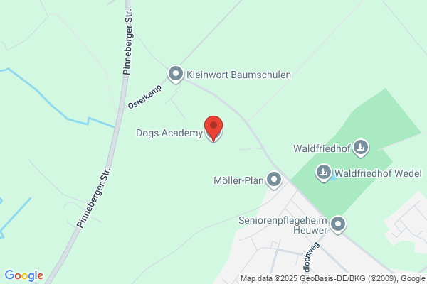 Applegate School For Dogs