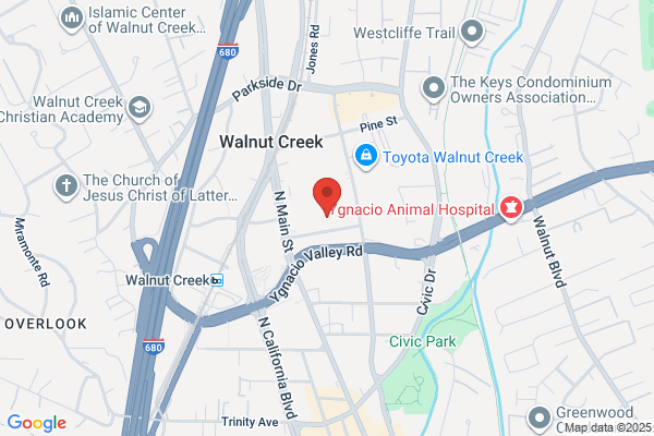 Oakmont Auto Care