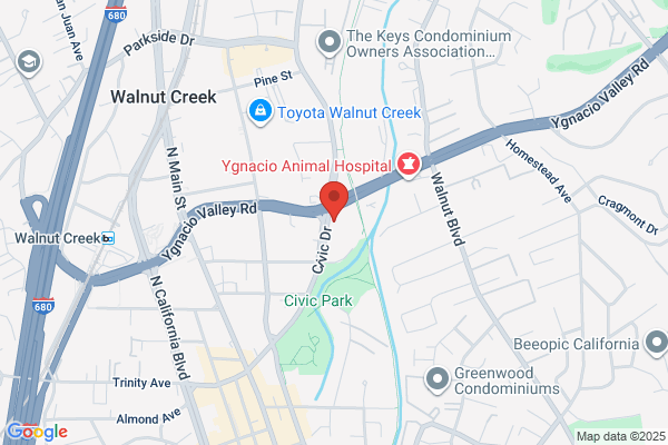 Dental Implant Center at Walnut Creek