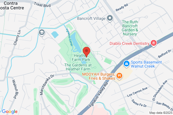 Sharon Hill Events