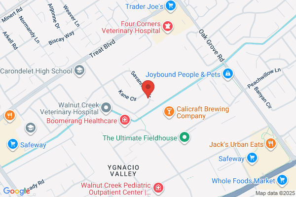 Spaulding Decon Walnut Creek