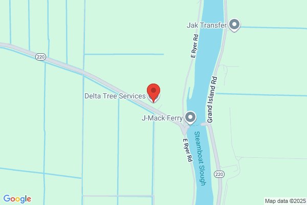 Delta Tree Service