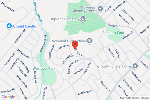Neponset Chemical and Engineering Inc