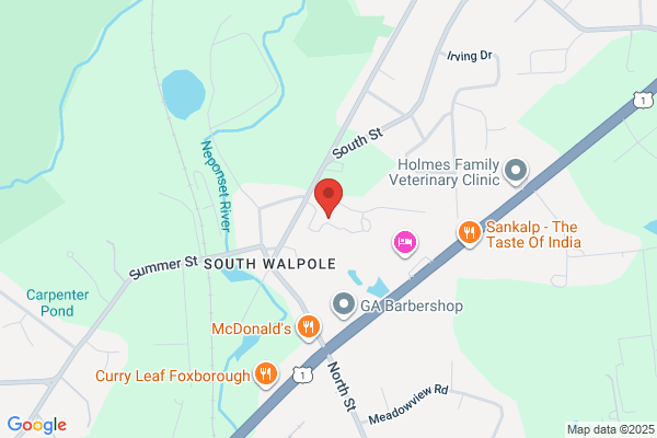 Walpole School District, Walpole Schools, Boyden School