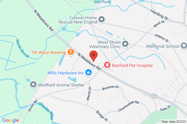 Medfield Childrens Center